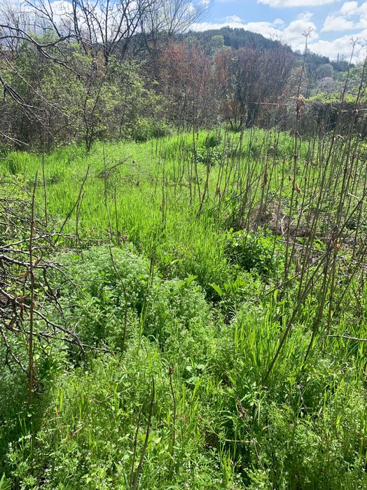 Къща за реставрация в   с. Илинденци Струмяни Сандански