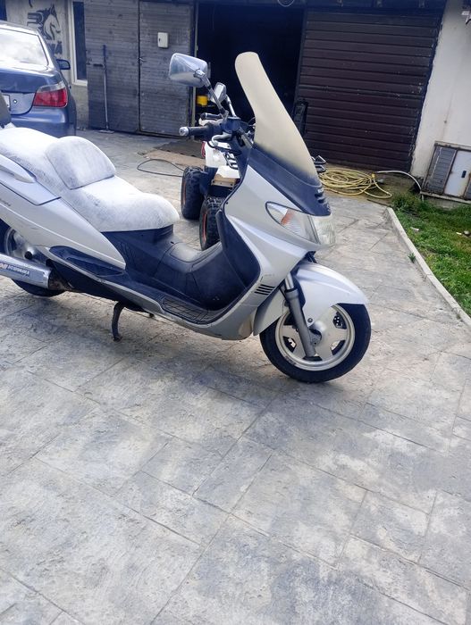 Suzucy burman 250