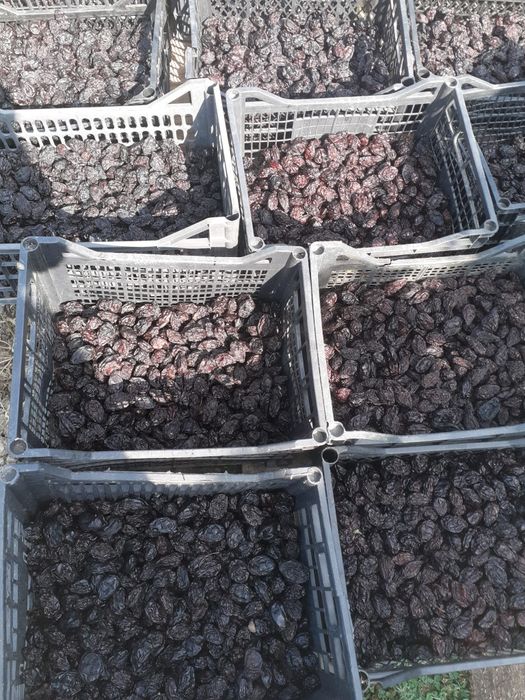 Prune Uscate larjan fară fum producțe proprie  2026