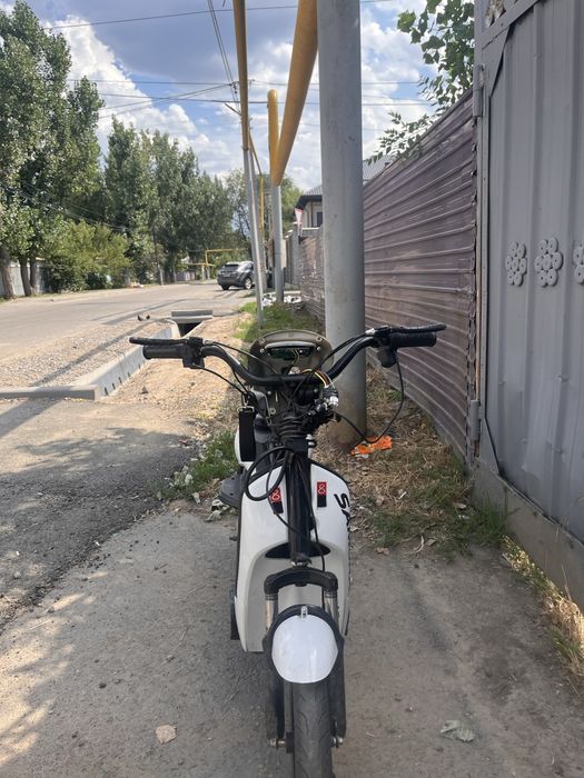 ск8 алдын салп берем