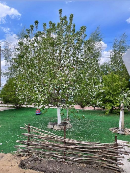 Продам дом в с. Тепличное