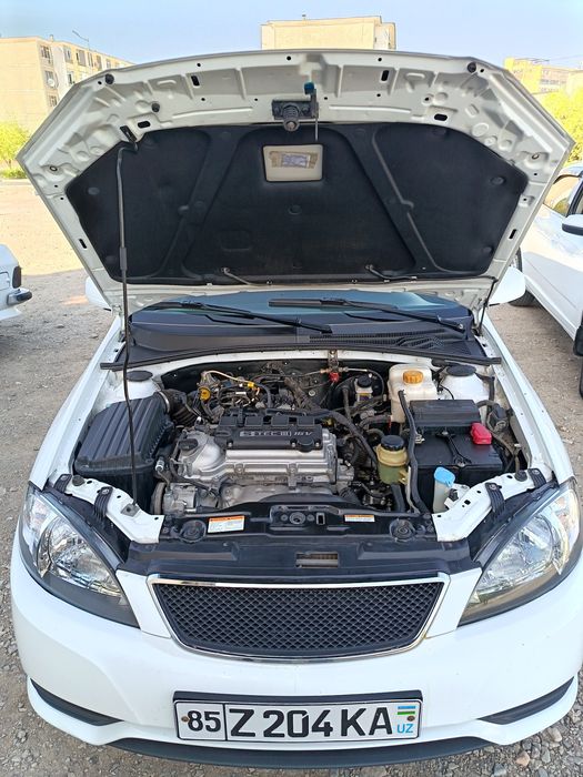 Gentra sotila srochni