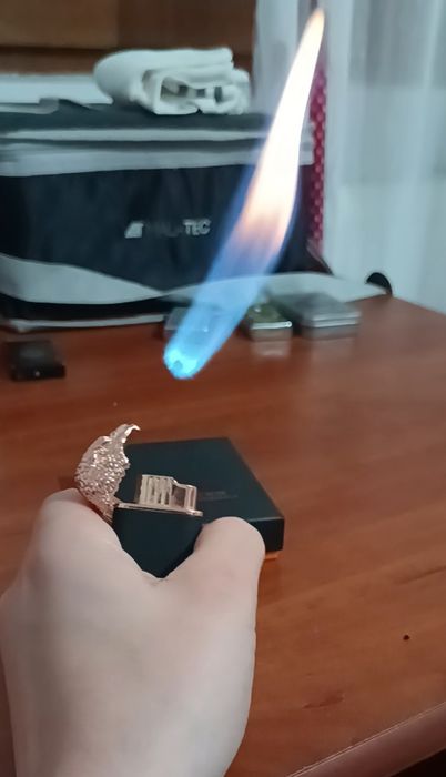 Bricheta cap de vultur