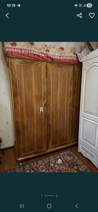 Shfaner katta yongoqli