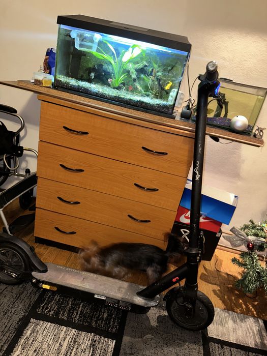 Vand trotineta murya are roata cu motoru plecata intro parte