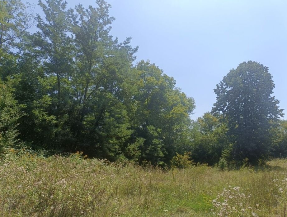 Vând teren intravilan in Ariceștii Zeletin 1500 mp