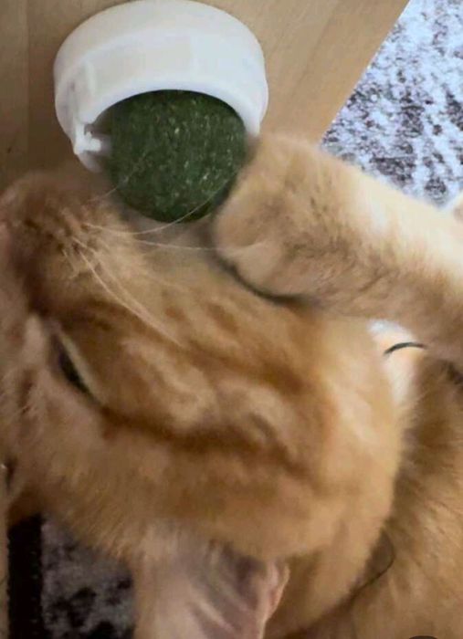 Catnip ball 360° Котешка близалка