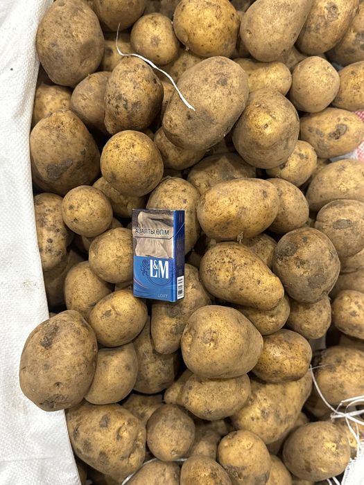 Продаю картофель с Кх