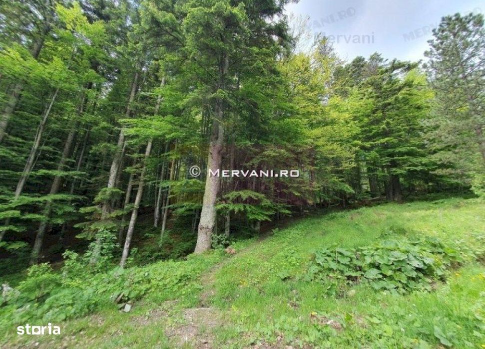 Teren intravilan de vanzare in Sinaia - Zona Furnica