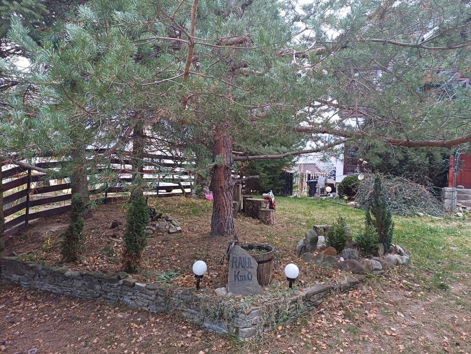 Cabana la munte de Revelion- Cheia(Prahova), toata proprietatea