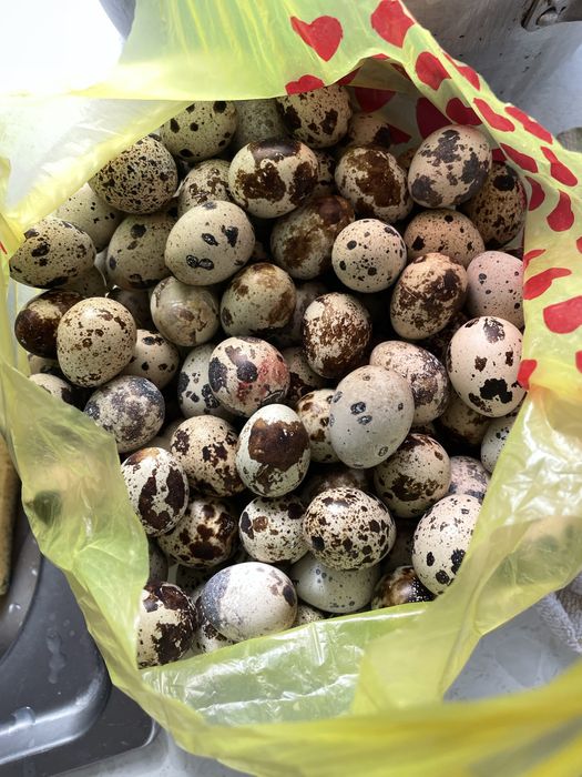 Перепелиные яица