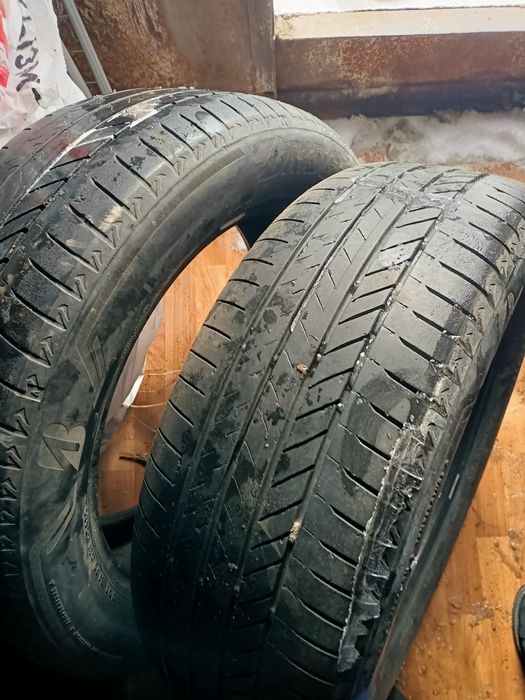 Продам два баллона на 19