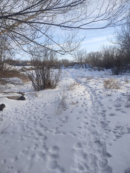 Продается дом срочно