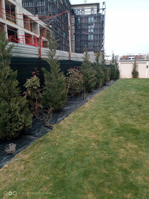 Поддръжка на зелени площи