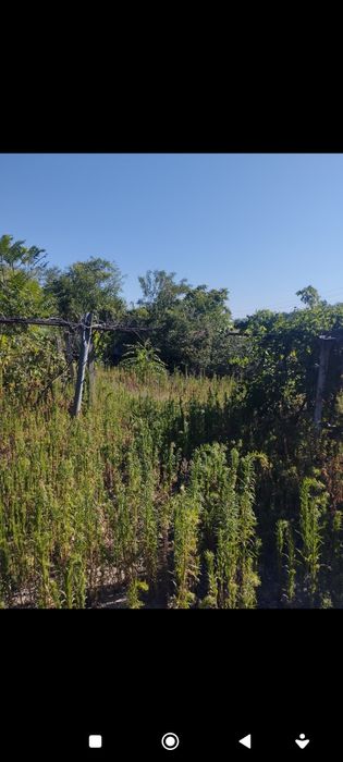 Продава се Къща в с. Юпер, Област Разград - 98 кв.м за 141 €/кв.м - Снимка #12