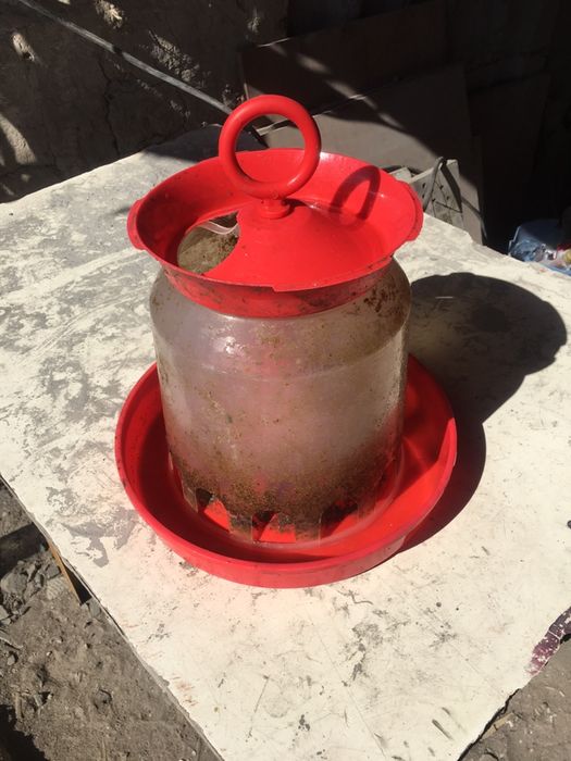 Посуда для цыплятт