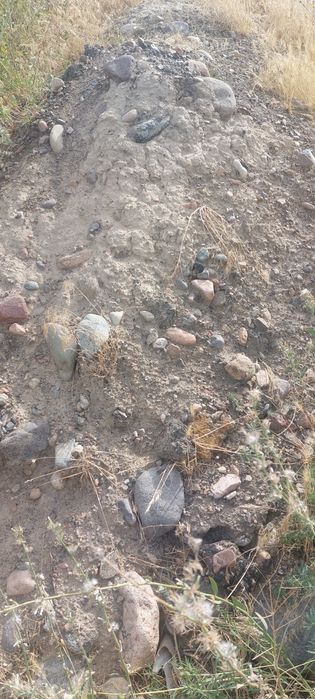 Отдам бесплатно грунт самовывоз