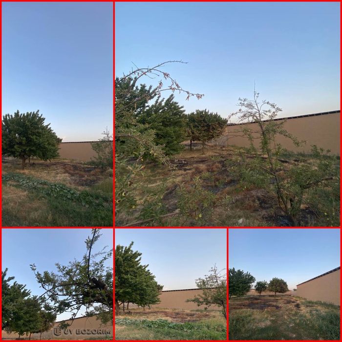 Yer sotiladi 6 sotix