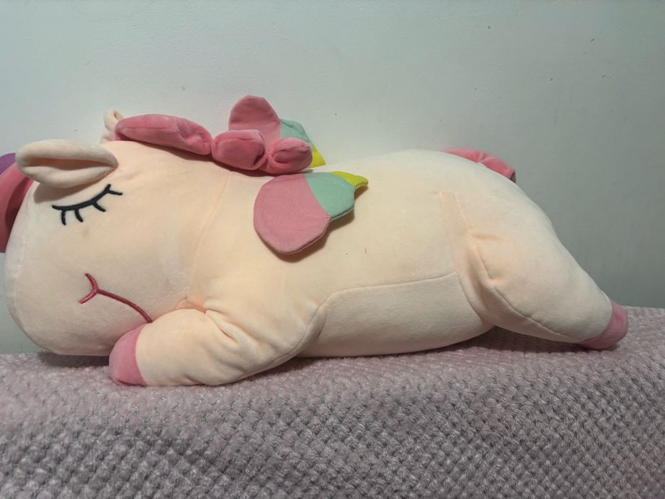 Ponei perna cu paturica