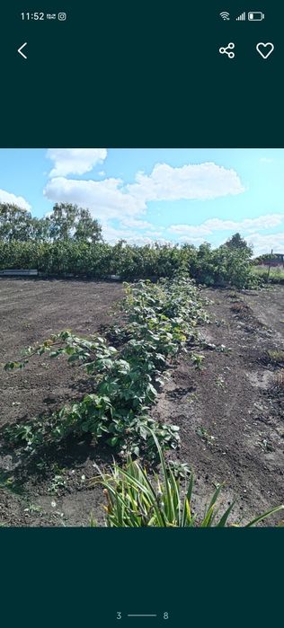 Продам участок Приишимка