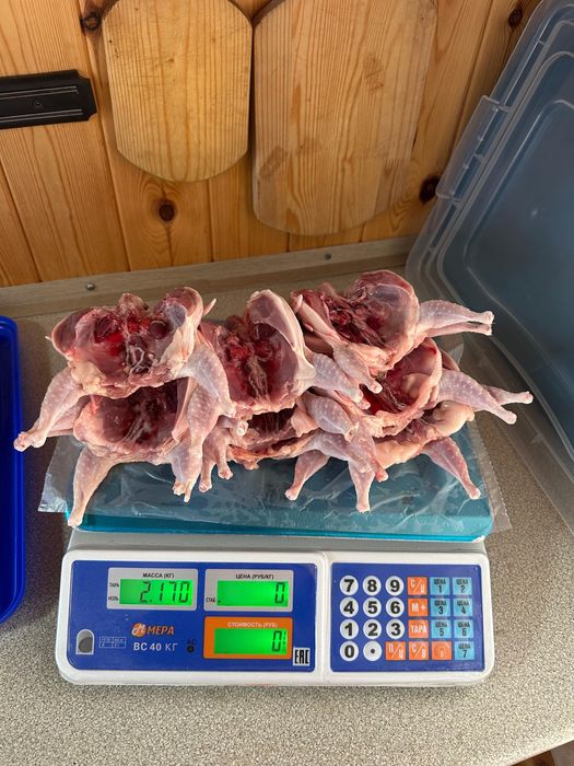 Мясо перепелов. Перепелиное мясо.