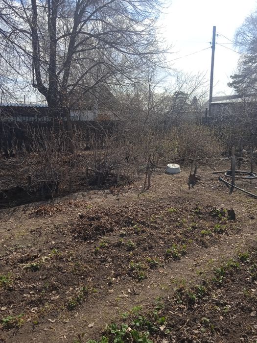 Продам дачу со "Геолог"