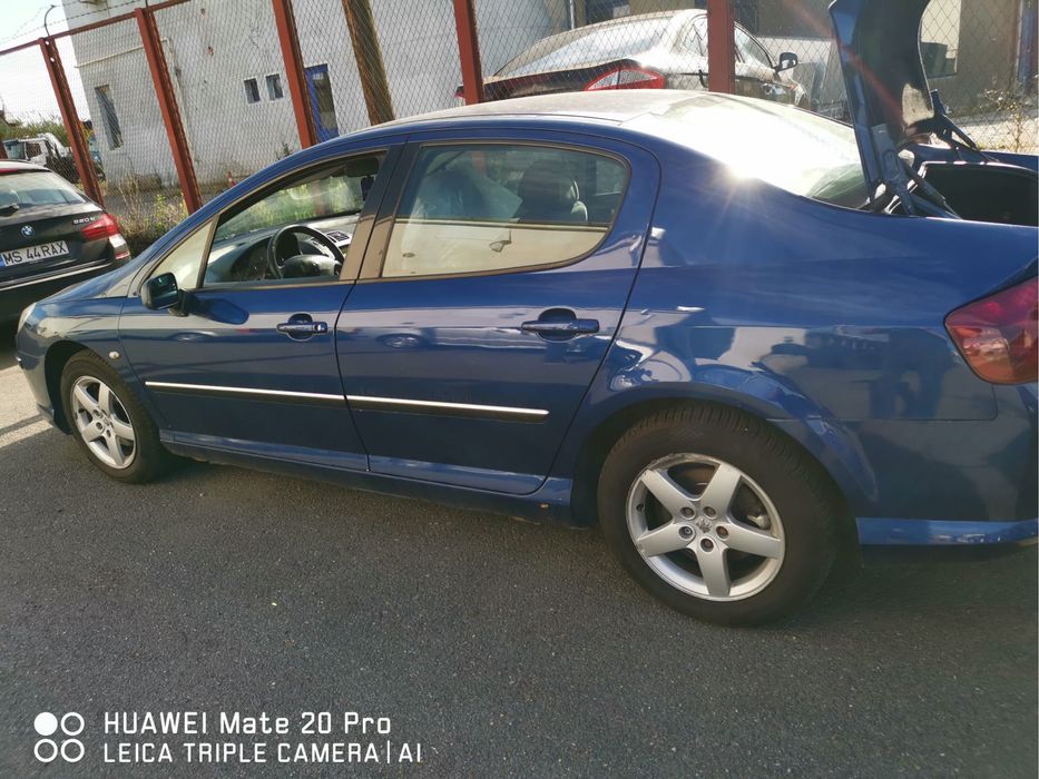 Vand Peugeot 407