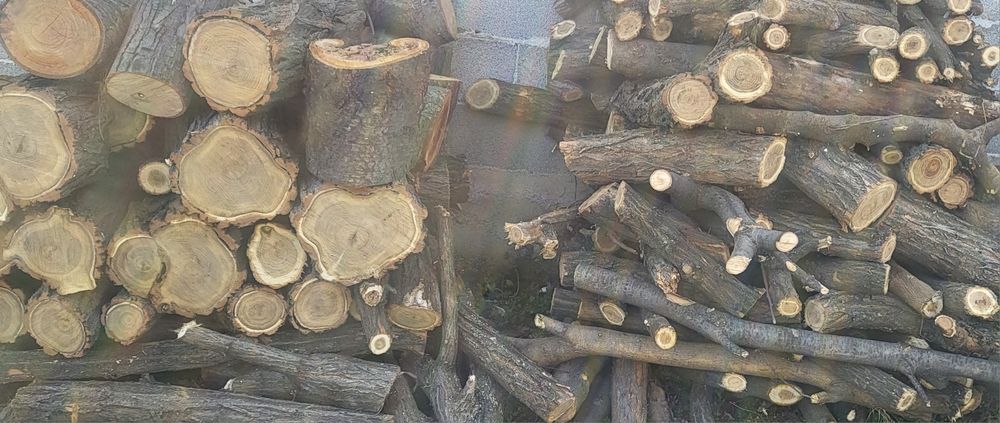 ^Дърва за огрев ^