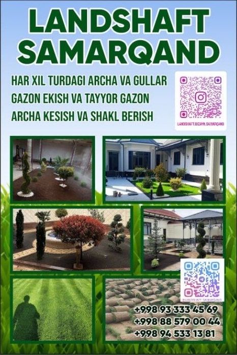 Gazon ekish va tayyor gazon bosish Landshaft Dizayner