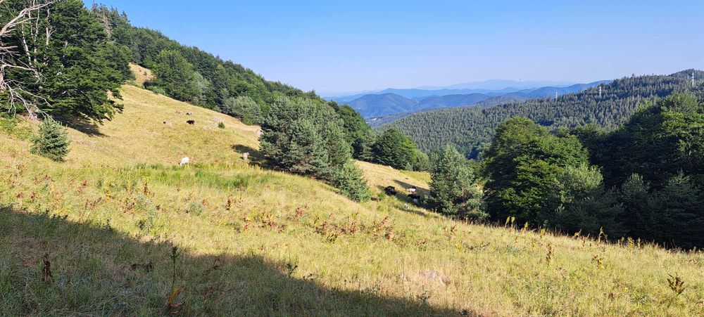 Продава земя в Родопите