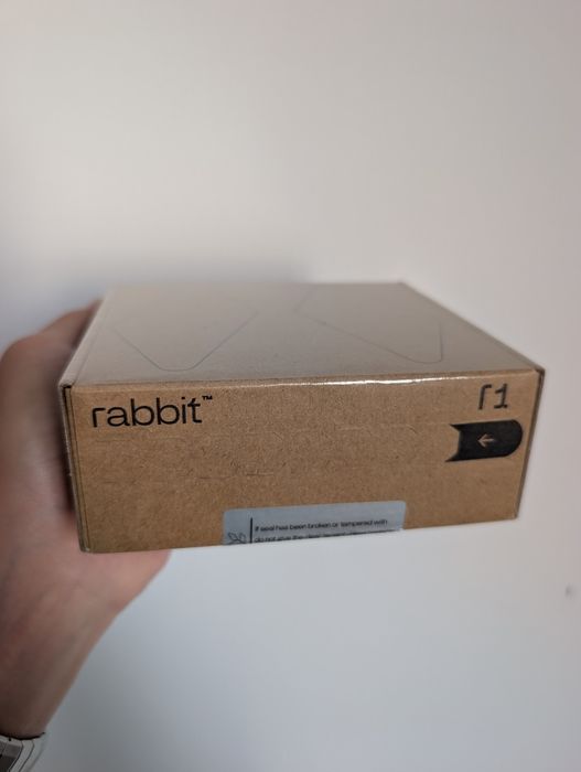 AI компаньон Rabbit R1