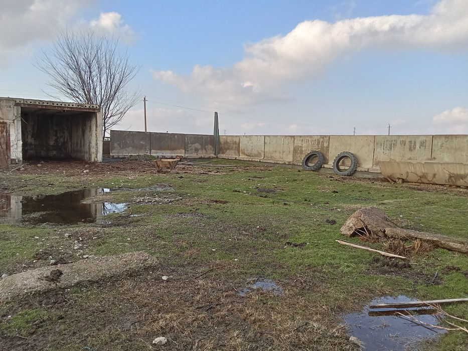 TayoR Uy va bizmes uchun bino