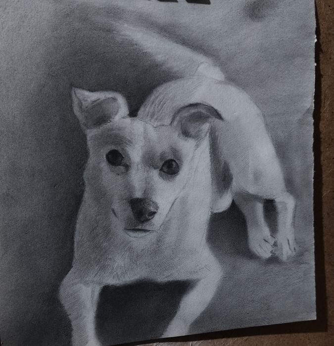 Рисувам портрети на животни и домашни любимци