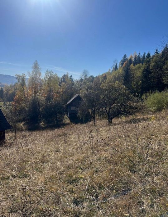 Teren cu casa in Muntii Apuseni