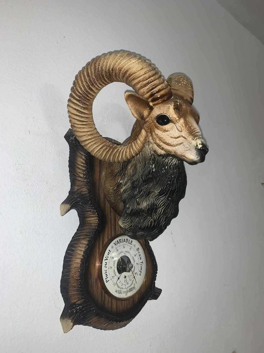 Barunetru cu tenta Tap de munte decor cabana