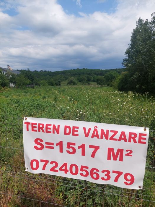 Curtișoara teren intravilan 1517 mp la stradă principală, preț excelent