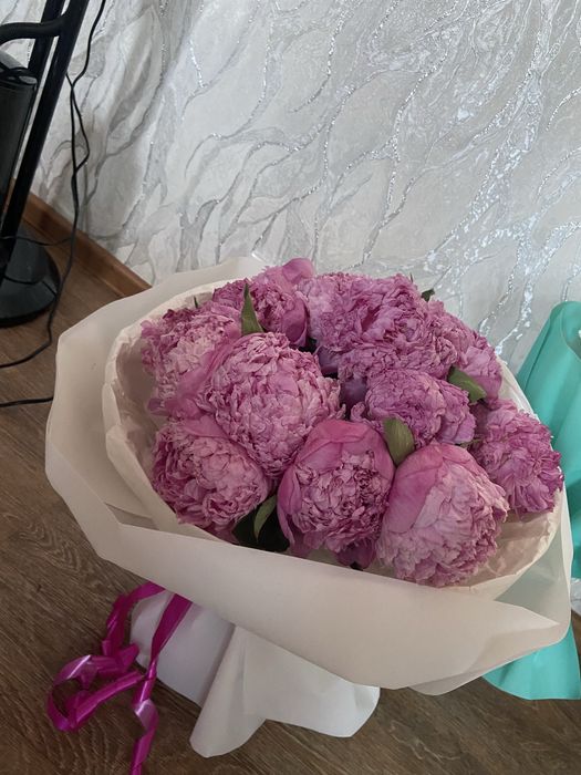 Продам цветы цены разные