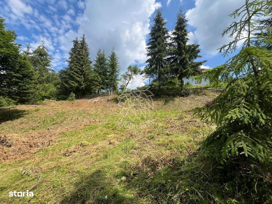 Teren intravilan 1074 mp cu utilitati-ideal pensiune, cabane-Colibita