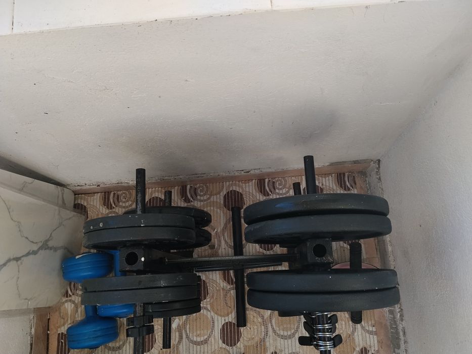 Vând suport și discuri