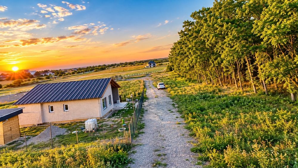 Casa De Vanzare Langa Padurea Snagov