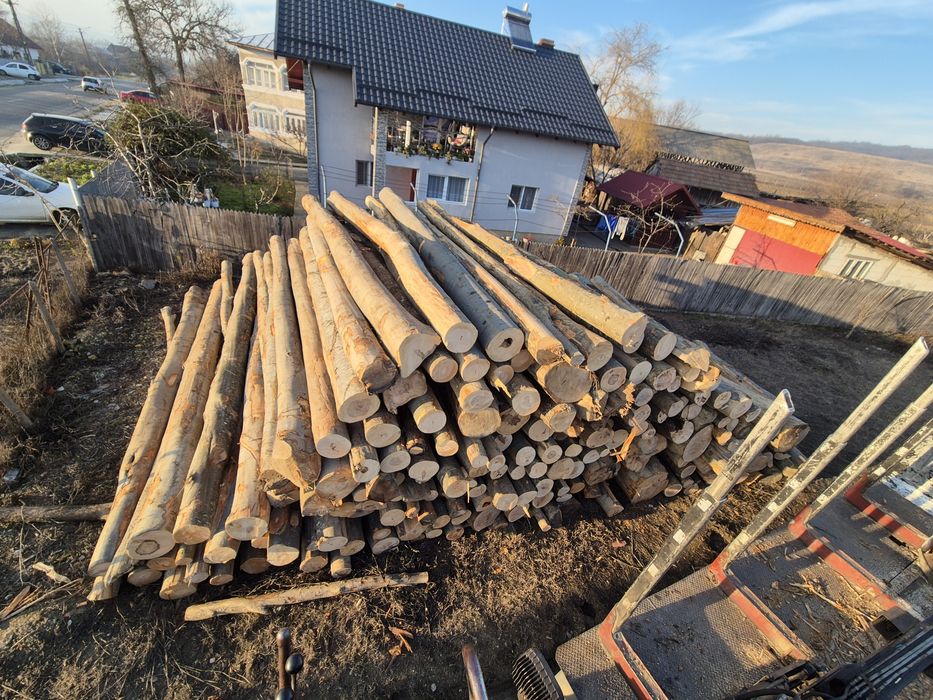 Lemn foc fag, transport inclus! Doar localitățile enumerate!tl