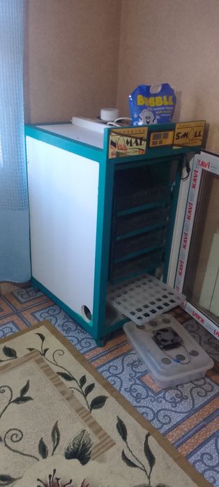 Инкубатор балапан