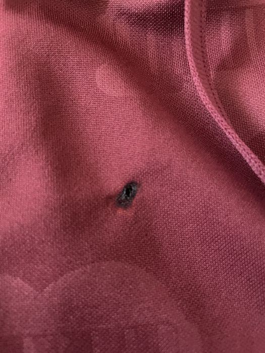 Carhartt къси панталони