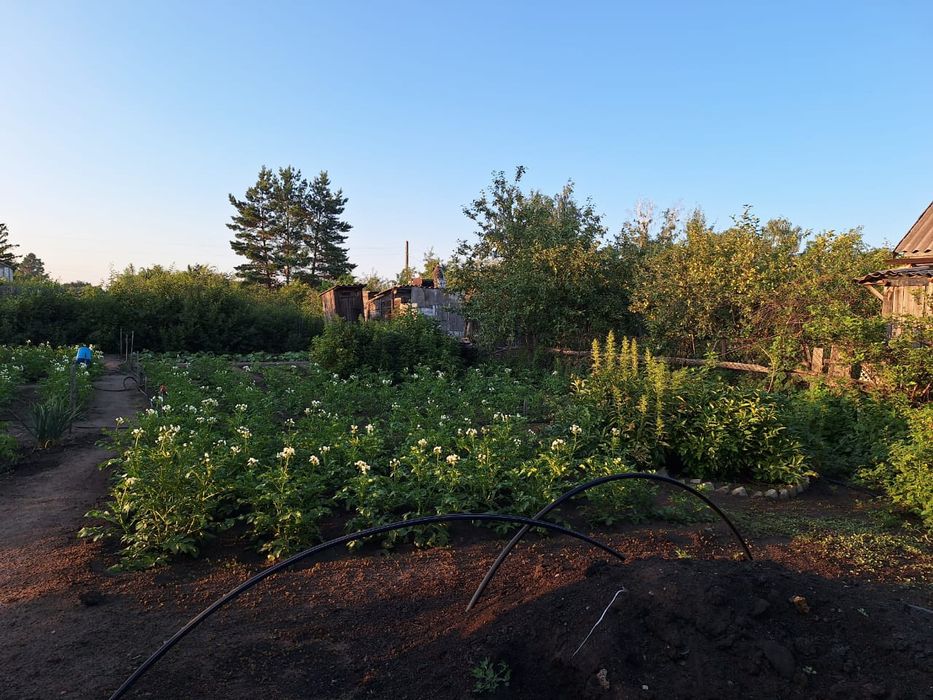 Продам дачу,  Затобольск автомобилист 26 Улица