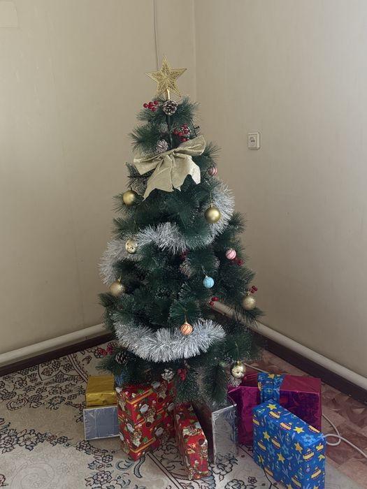 Елка сатамыз жақсы бағада