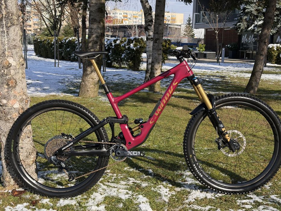 2025 S WORKS ENDURO DREAM BUILD Specialized Carbon S4 AXS