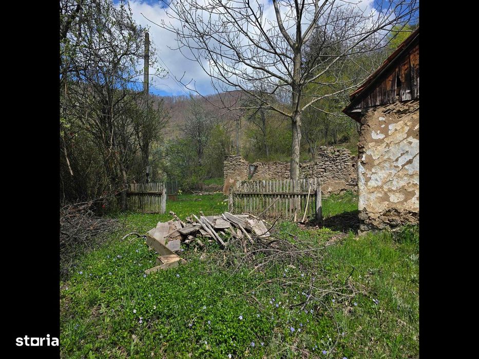 Teren de vis caută proprietar.