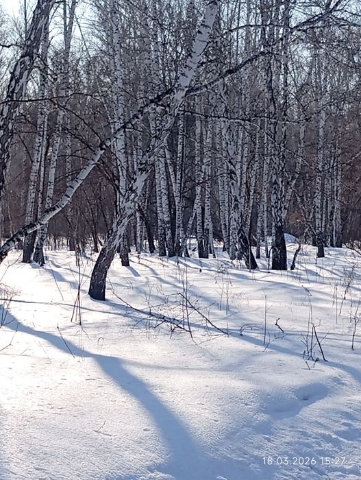 Срочно дачу отличном чистом месте,