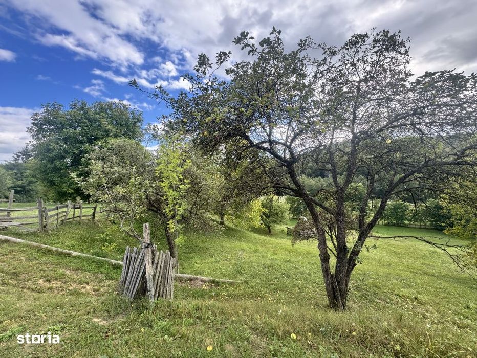 6.605 mp de natura pura – refugiu, afacere sau investitie in Candest