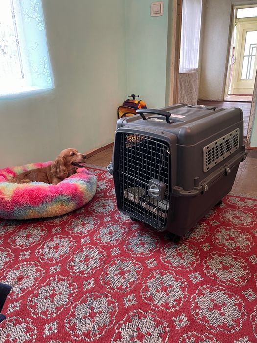 Cusca transport animale, XXL, maxim 41kg ,IATA